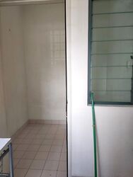 Serenity Park (D28), Condominium #624964841